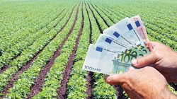 Κ. Παπανάτσιου: Για τη συντριπτική πλειονότητα των αγροτών δεν θα υπάρξει αυξημένη προκαταβολή φόρου