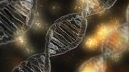 Φορητό σύστημα «τσέπης» για την ανίχνευση DNA δημιούργησαν ΚινέζοιΦορητό σύστημα «τσέπης» για την ανίχνευση DNA δημιούργησαν Κινέζοι