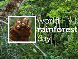 Παγκόσμια Ημέρα Τροπικών Δασών (  World Rainforest Day)
