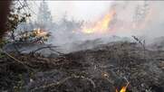 Πυρκαγιές στη Σιβηρία: Καίγονται εκατομμύρια στρέμματα δάσους - Ο καπνός φτάνει για πρώτη φορά στον Βόρειο Πόλο