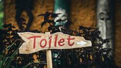 Πόσο εφικτό είναι να κολλήσει κανείς κοροναϊό σε δημόσια τουαλέτα
