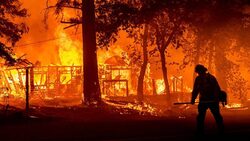 Το προσάναμμα του κέρδους στις δασικές πυρκαγιές