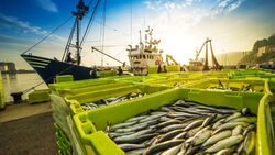 Η αλιευτική βιομηχανία στο πλευρό των Ευρωπαίων αγροτών