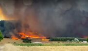 Ανεμογεννήτριες και κυκλώματα πίσω από το “μπάχαλο” της κατάσβεσης της πυρκαγιάς στον Έβρο; Σε δύο μέτωπα η μάχη με τις φλόγες – Αναζωπύρωση στη Νίψα – Βοήθεια στέλνουν Κύπρος και Ρουμανία