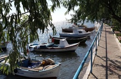 Αλιευτικός τουρισμός στον Κορινθιακό Κόλπο