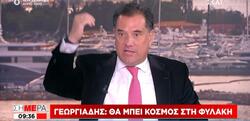 Άδωνις Γεωργιάδης / Καρφώθηκε μόνος του για την απευθείας ανάθεση στην Interview