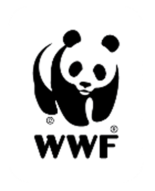 Συναντήθηκαν με τον Γενικό Γραμματέα Δημόσιας Περιουσίας στο Υπουργείο Οικονομικών για τον αιγιαλό, οι εκπρόσωποι του WWF Ελλάς