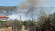 Πυρκαγιά στο Πουρνάρι Γλυφάδας - Καίγονται σπίτια - Ήχησε το 112