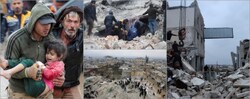 Αντι-αφιέρωμα στα ανθρώπινα κτήνη...