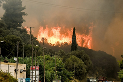 Αχαΐα: «Από κολώνα της ΔΕΗ ξεκίνησε η φωτιά» – Καταγγελία κατοίκου στο documentonews.gr