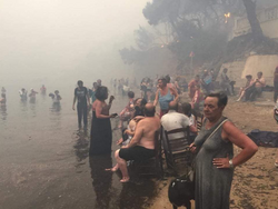 Τραγωδία στην Αττική. 24 οι επιβεβαιωμένοι νεκροί . 156 τραυματίες, από τους οποίους οι 11 παραμένουν διασωληνωμένοι σε κρίσιμη κατάσταση - 16 παιδιά με εγκαύματα και τραύματα