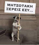 Το κορόιδο και μια πολύ ενδιαφέρουσα ομολογία.