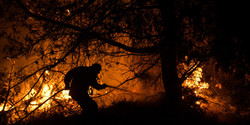 Δεν είναι «ανικανότητα» του ελληνικού κράτους να αντιμετωπίσει τις πυρκαγιές. Είναι ΕΠΙΛΟΓΗ ΤΟΥ