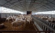 «Το Παράρτημα Πελοποννήσου του ΓΕΩΤ.Ε.Ε. κατέθεσε τις απόψεις του επί του Σχεδίου Νόμου «Ρυθμίσεις για την ίδρυση και λειτουργία κτηνοτροφικών εγκαταστάσεων»».