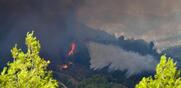 Πυρκαγιά στη Μεσσηνία / Κάηκαν σπίτια και εκκενώθηκαν οικισμοί