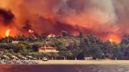 Συγκλονιστικό βίντεο από τη Λίμνη Ευβοίας: Οι φλόγες κατακαίνε το δάσος και φτάνουν στην παραλία (video)