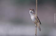 Ευρωπαϊκή Ημέρα Natura 2000: Μια γιορτή για την προστασία της φύσης