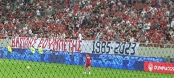 Οπαδική βία και μαφία
