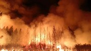 Δασικές Πυρκαγιές:  Όλοι συμφωνούμε στις διαπιστώσεις, τί κάνουμε όμως γι' αυτές;