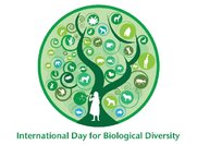 Παγκόσμια Ημέρα Βιοποικιλότητας