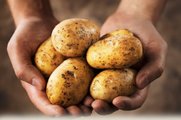 Οι πατάτες αυξάνουν τον κίνδυνο εκδήλωσης υπέρτασης ακόμη & βραστές ! Οι τηγανητές αστό καλύτερα