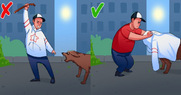 Επίθεση σκύλου: Τι πρέπει να κάνεις σε περίπτωση που σου επιτεθεί ένας αδέσποτος σκύλος.