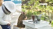 Προειδοποιήσεις για επικίνδυνα φυτοφάρμακα από τους Βούλγαρους μελισσοκόμους