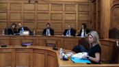 Βρήκε τις 30 υπογραφές η Καρυστιανού...