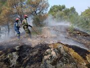 Το ρεπορτάζ της Καθημερινής για την τεράστια καταστροφή στο δάσος της Δαδιάς