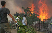 Οι πυρόπληκτοι του 2007 περιμένουν ακόμη τα χρήματα του Ειδικού Ταμείου