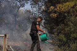 Ράπισμα Deutsche Welle στην κυβέρνηση: «Πολλοί αστυνομικοί, ελάχιστοι πυροσβέστες»