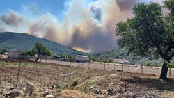 Mεγάλη πυρκαγιά στη Μυτιλήνη
