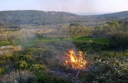 Σύσταση αποφυγής καύσης γεωργικών υπολειμμάτων