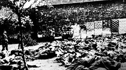 Ολοκαύτωμα στο Κομμένο της Αρτας. Οταν τα ναζιστικά κτήνη βίαζαν γυναίκες, ξεκοίλιαζαν εγκύους, σκότωναν ακόμα και μωρά παιδιά ... "για να κάνουν την πλάκα τους". (16 Αυγούστου 1943)