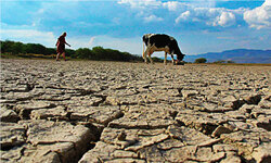 Αντιμέτωπο με έντονη ξηρασία το Μεξικό
