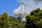 Μεγάλη πυρκαγιά και στην Ηλεία – «Σίγουρα έργο εμπρηστών» καταγγέλλει ο δήμαρχος Ανδρίτσαινας Κρέστενας