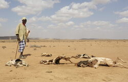 Κέρας της Αφρικής: «Μαύρες» προβλέψεις για ξηρασία και λιμό