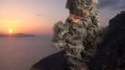 Ο σκύλος και η ελιά του ηφαιστείου της Σαντορίνης αφηγούνται τη δική τους ιστορία