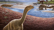 Ανακαλύφθηκε ο Mbiresaurus, ο αρχαιότερος δεινόσαυρος της Αφρικής