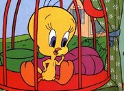 Τουίτι (Tweety)