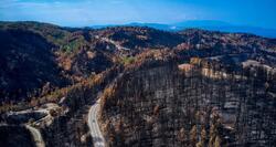 Τα επόμενα βήματα για τα δάση μετά την πύρινη καταστροφή