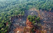 Αμαζόνιος: Το οικοσύστημα του δάσους μπορεί να καταρρεύσει γρηγορότερα απ’ ό,τι νομίζαμε