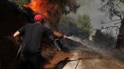 Νέα φωτιά στο Δίστομο - Στις αυλές των σπιτιών οι φλόγες - Εκκενώνονται χωριά