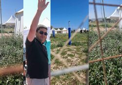 Γέμισε… ραδίκια το Karteros Beach Sports Center που κατασκευάστηκε επί Αυγενάκη με 6 εκατ. ευρώ (Photos – Video)