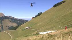 Παγκόσμια υπερθέρμανση: Ο ελβετικός στρατός μεταφέρει νερό στα διψασμένα ζώα των αλπικών λιβαδιών