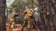 Οι αποφάσεις και τα λάθη πίσω από την καταστροφή του οικοσυστήματος της Δαδιάς Έβρου