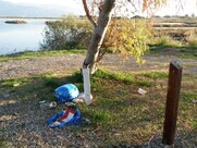 Καθαρισμός βιτρίνας στην Αλυκή  Σκουπίδια και κατεστραμμένοι κάδοι την επομένη του καθαρισμού. 