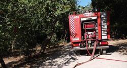 Φλέγεται η Πελοπόννησος - Μέτωπα σε Μεσσηνία και Ηλεία