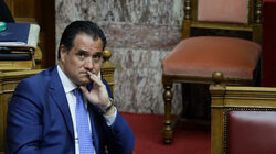 Άδωνις Γεωργιάδης: Γαλοπούλα