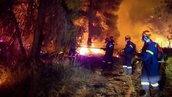 Μηνυτήρια αναφορά για ποινικές ευθύνες σχετικά με τις καταστροφικές φωτιές